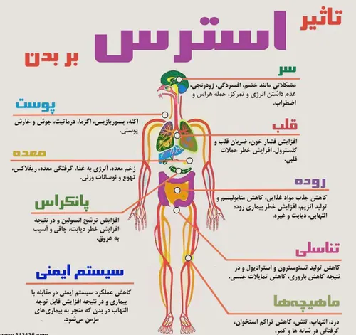 سلامت و تندرستی aahh 22366511 - عکس ویسگون