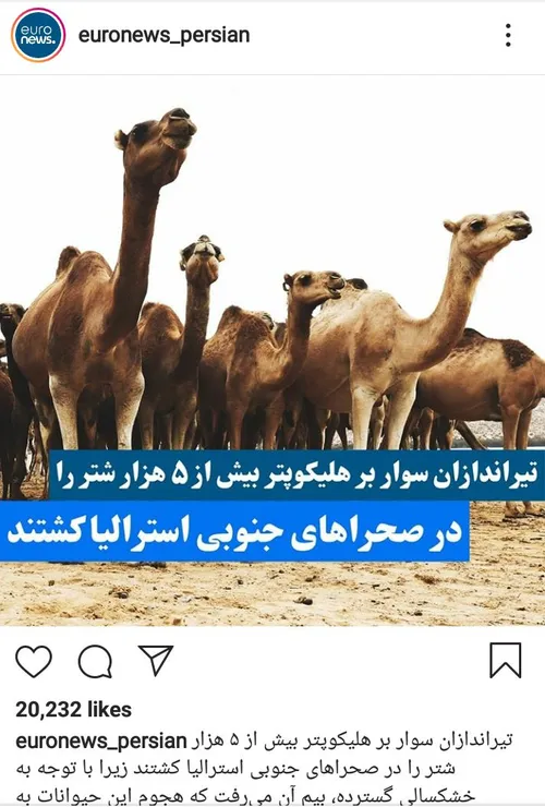 ⚫ ️ اگر این اتفاق در ایران رخ داده بود روشنفکران خودفروخت