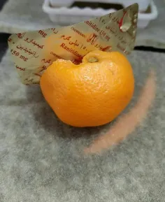 ‏تو رو خدا قبل از اینکه نارنگیا رو بخورین حتما داخلشو خوب