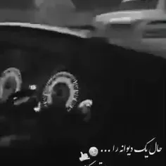 حال دیوانه را دیوانه میداند😎