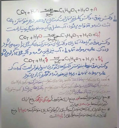 موفقیت