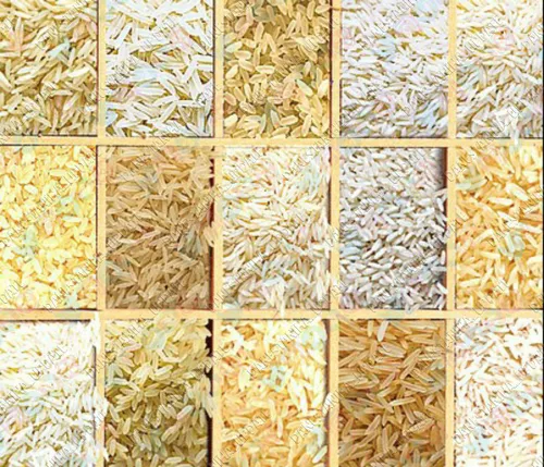 15 هزار نوع مختلف برنج در دنیا کشت می شود.