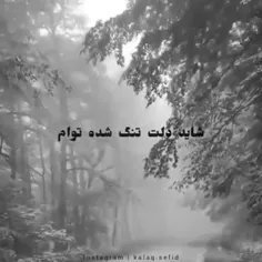 شاید دلت تنگ شده توام 🖤