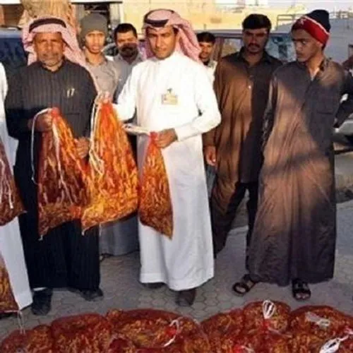 خرید فروش ملخ در عربستان