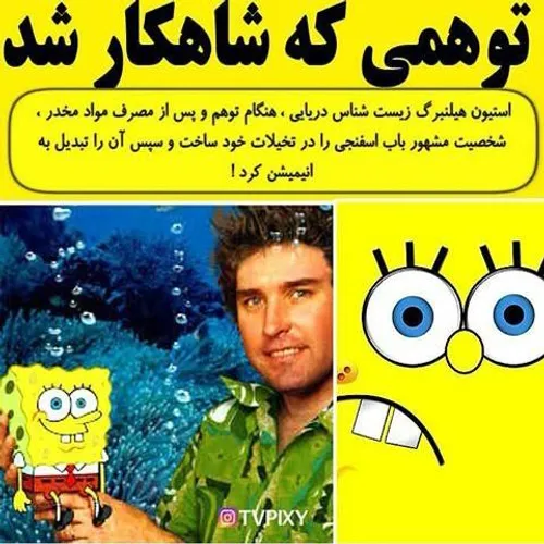 باب اسفنجی