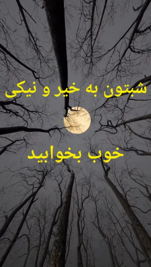 شبتون به خیر و نیکی🍃🌼🍃