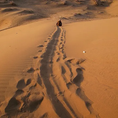 An adventurer sliding down a sandy mound in Maranjab Dese