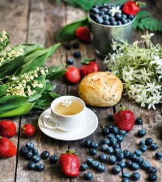 آنانکه خوبند، همیشه سبزند🍓 🌾 