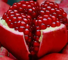 🍉یک قدم مانده به رقصیدن برف