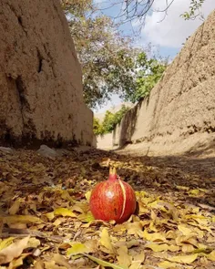 بعضی ها آمده اند🚶 ‍♂