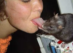 گوناگون amin3000 25162