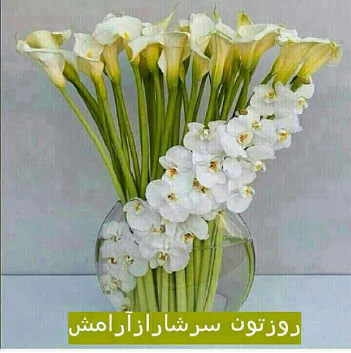 تقدیم به اونایی که منو لایک میکنن