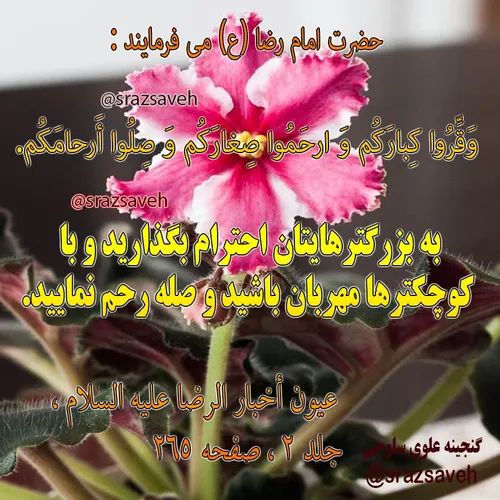 حضرت امام رضا ع می فرمایند :