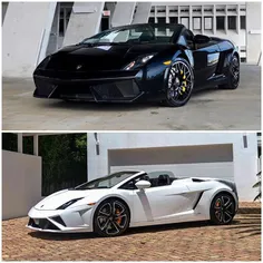 Black or White Gallardo?!