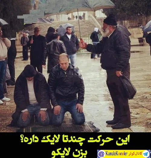 ببینم چندتا لایک داره