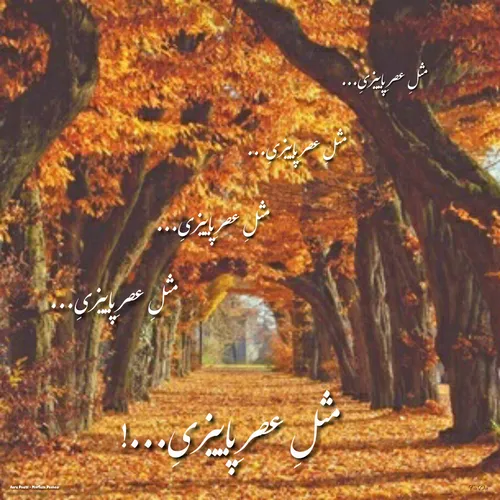 عصر پاییزی خاص پاشایی FaDa