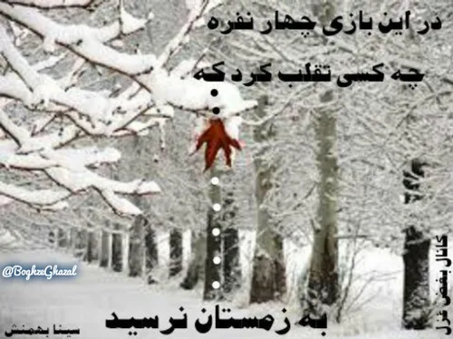 در این بازی چهار نفره