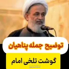 ⭕️ نقد جمله آقای پناهیان درباره گوشت تلخی امام