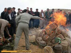 همت مردم کرد در حفظ حیات جانوری کردستان.....