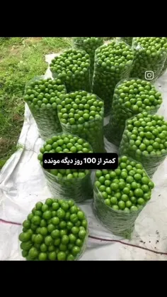 صبر کنید کم مونده🎀✨️