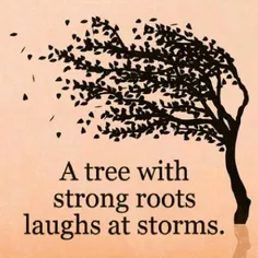 درختی که ریشه های قوی دارد به توفان ها میخندد !