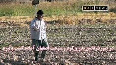 با تامین بذر، کود و سوخت، اصفهان آماده کشت بهنگام پاییزه 