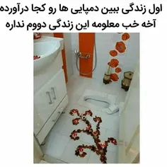 طنز و کاریکاتور homayn 22586823