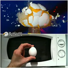 یکی از خطرناکترین کارهای ممکن در آشپزخانه، قرار دادن تخم 
