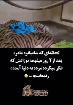 الهی بگردم،اشکم درومد🥺