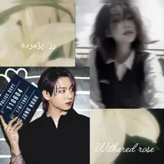 ویوات 