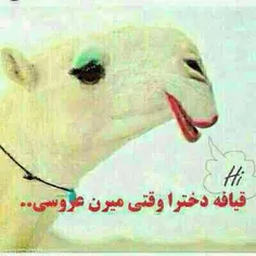 ههه