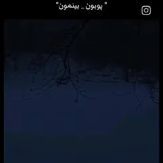 parisairan1976 73954712
