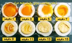 تخم مرغ کاملترین غذای جهانست. چون این ماده غذایی در طول 2