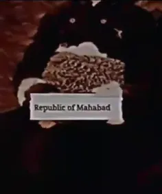 رضا قلدر ؟ نگاییدم🤣