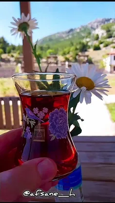 تو از حد گذشته ای