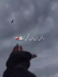 دلیل این دل تنگمی تو🥺🤍 :)