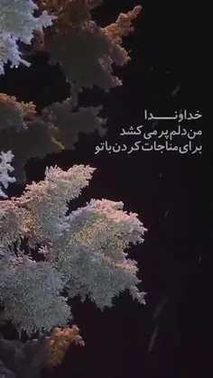 خداواندا من دلم پر می‌کشد برای مناجات کردن باتو!🌺🌹