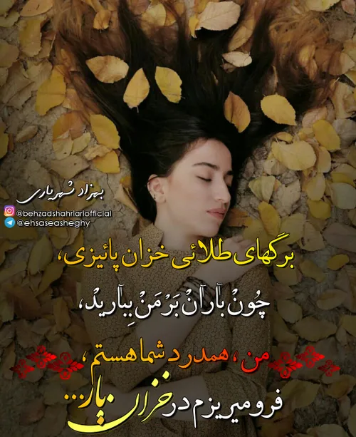 بهزادشهریاری🌹