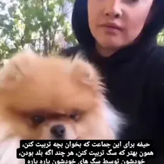 همون بهتر که جای ازدواج و بچه دار شدن ، سگ و گربه نگهداری