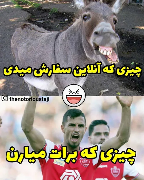 شباهتو نگاه😂😂😂😂