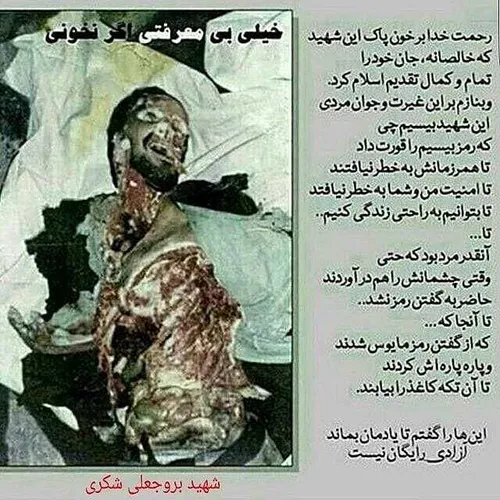 شهدا martyr.darabpour 34419546 - عکس ویسگون