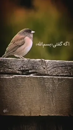 💌در هر کاری بگو به نام خدا