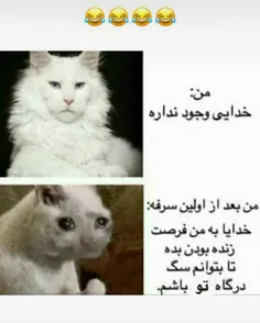 وقتی ژست آتیست ور میداری 😂