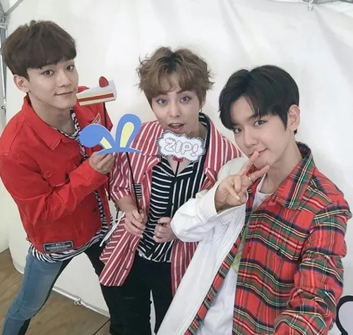 chenbaekxi