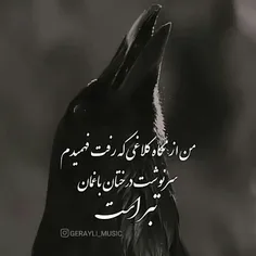 من از نگاه کلاغی که رفت فهمیدم