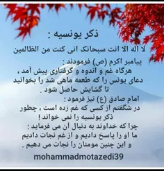 🌹بسم الله الرحمن الرحیم🌹