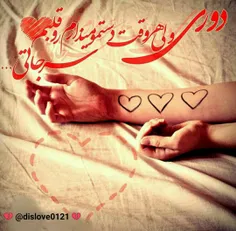 گوناگون lovehabib 24702427