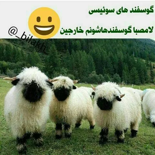 کثافتا