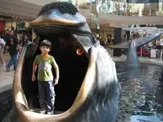 شجاعت پسر در دهان نهنگ