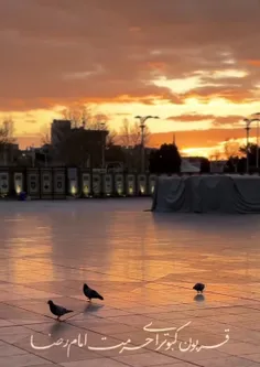 با قلبی شکسته از راه دور سلام